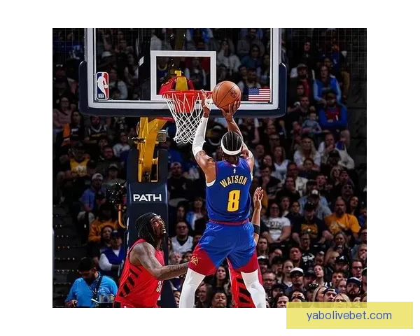 约基奇：全场掌控比赛最终关键投篮助球队获胜