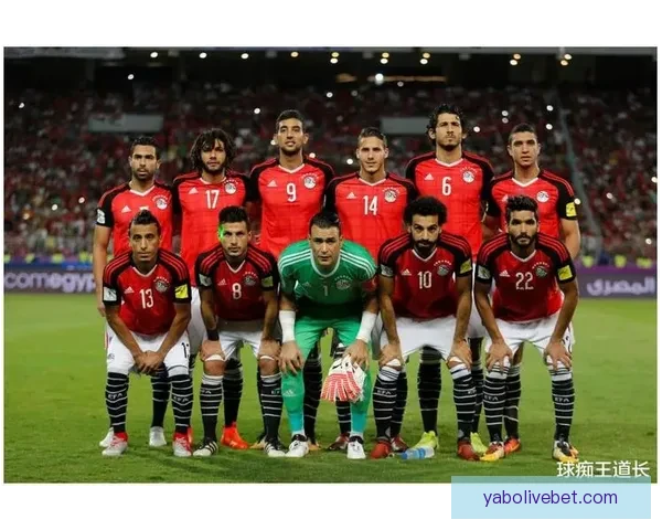 世界杯胜负预测攻略 提供最精准赛事分析与竞猜建议